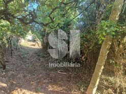 Terreno R�stico T0 - Astromil, Paredes, Porto - Miniatura: 28/46