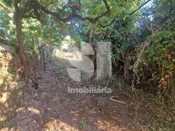 Terreno R�stico T0 - Astromil, Paredes, Porto - Miniatura: 29/46