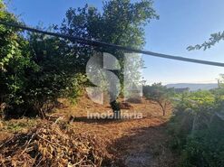 Terreno R�stico T0 - Astromil, Paredes, Porto - Miniatura: 31/46