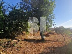Terreno R�stico T0 - Astromil, Paredes, Porto - Miniatura: 32/46