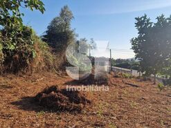 Terreno R�stico T0 - Astromil, Paredes, Porto - Miniatura: 33/46