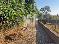 Terreno R�stico T0 - Astromil, Paredes, Porto - Miniatura: 34/46