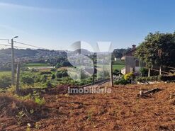 Terreno R�stico T0 - Astromil, Paredes, Porto - Miniatura: 37/46