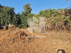 Terreno R�stico T0 - Astromil, Paredes, Porto - Miniatura: 38/46