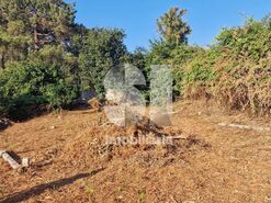 Terreno R�stico T0 - Astromil, Paredes, Porto - Miniatura: 39/46