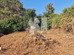 Terreno R�stico T0 - Astromil, Paredes, Porto - Miniatura: 40/46