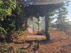 Terreno R�stico T0 - Astromil, Paredes, Porto - Miniatura: 42/46