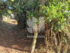 Terreno R�stico T0 - Astromil, Paredes, Porto - Miniatura: 43/46