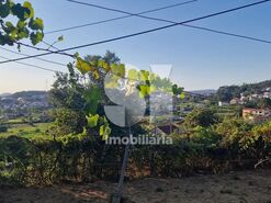 Terreno R�stico T0 - Astromil, Paredes, Porto - Miniatura: 44/46