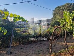 Terreno R�stico T0 - Astromil, Paredes, Porto - Miniatura: 45/46