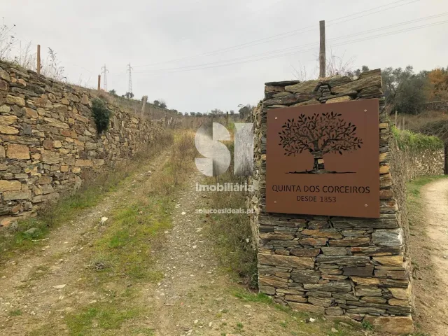 Quinta T4 - Peso da R�gua, Peso da R�gua, Vila Real - Miniatura: 1/26