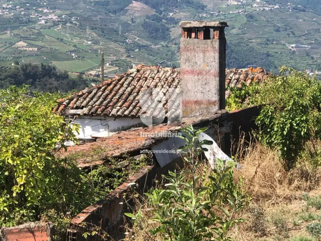 Quinta T4 - Peso da R�gua, Peso da R�gua, Vila Real - Miniatura: 3/26