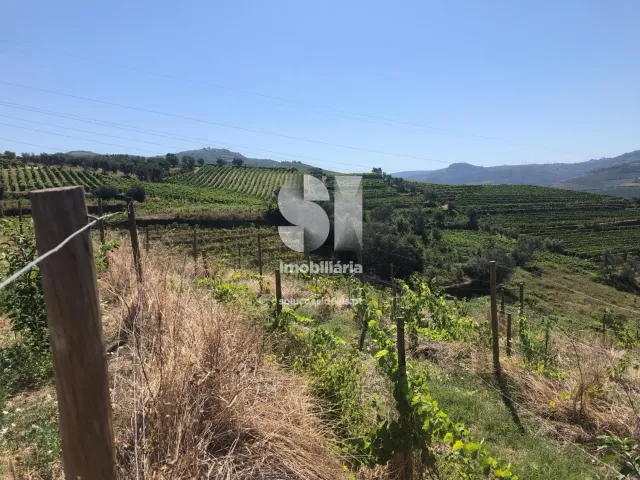 Quinta T4 - Peso da R�gua, Peso da R�gua, Vila Real - Miniatura: 4/26