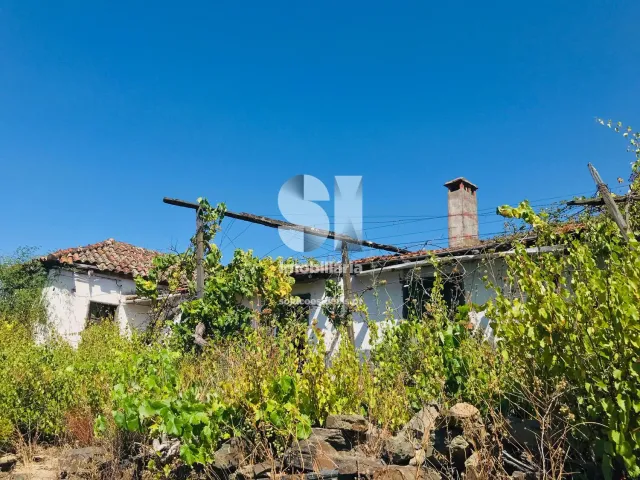 Quinta T4 - Peso da R�gua, Peso da R�gua, Vila Real - Miniatura: 7/26