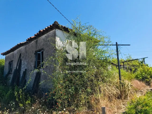 Quinta T4 - Peso da R�gua, Peso da R�gua, Vila Real - Miniatura: 10/26