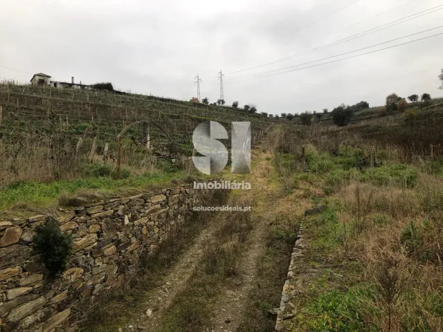 Quinta T4 - Peso da R�gua, Peso da R�gua, Vila Real - Miniatura: 12/26