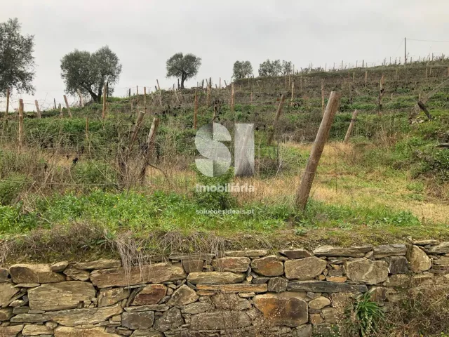 Quinta T4 - Peso da R�gua, Peso da R�gua, Vila Real - Miniatura: 13/26