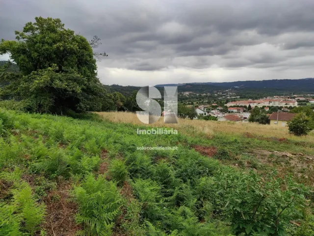 Terreno Urbano T0 - Lous�, Lous�, Coimbra - Miniatura: 19/22