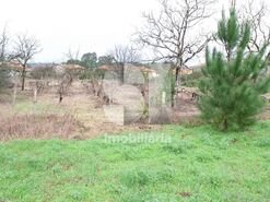 Terreno Urbano T0 - Oliveira do Bairro, Oliveira do Bairro, Aveiro - Miniatura: 4/8