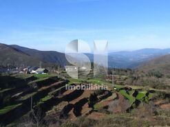 Moradia T5 - N�o Definido, N�o Definido, N�o Definido - Miniatura: 14/19