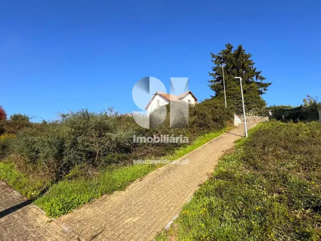 Terreno Urbano T0 - Sabrosa, Sabrosa, Vila Real - Miniatura: 1/15