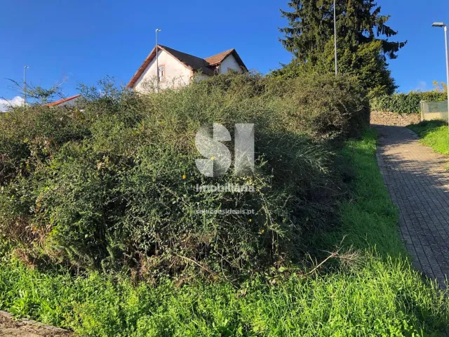 Terreno Urbano T0 - Sabrosa, Sabrosa, Vila Real - Miniatura: 3/15