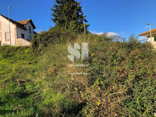 Terreno Urbano T0 - Sabrosa, Sabrosa, Vila Real - Miniatura: 4/15