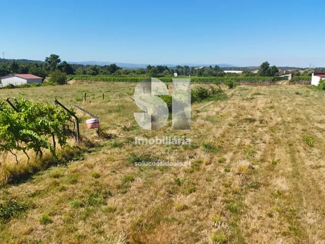 Terreno Urbano T0 - S�o Martinho de Antas e Paradela de Gui�es, Sabrosa, Vila Real - Miniatura: 1/21