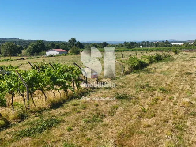 Terreno Urbano T0 - S�o Martinho de Antas e Paradela de Gui�es, Sabrosa, Vila Real - Miniatura: 2/21