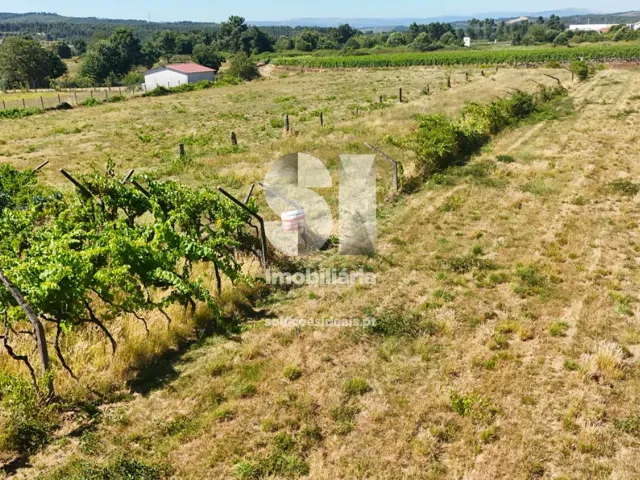 Terreno Urbano T0 - S�o Martinho de Antas e Paradela de Gui�es, Sabrosa, Vila Real - Miniatura: 3/21