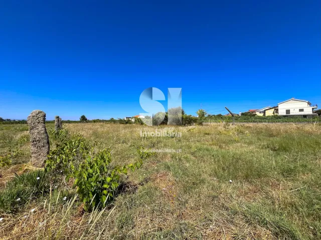 Terreno Urbano T0 - S�o Martinho de Antas e Paradela de Gui�es, Sabrosa, Vila Real - Miniatura: 4/21