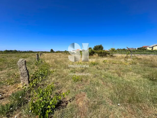 Terreno Urbano T0 - S�o Martinho de Antas e Paradela de Gui�es, Sabrosa, Vila Real - Miniatura: 5/21