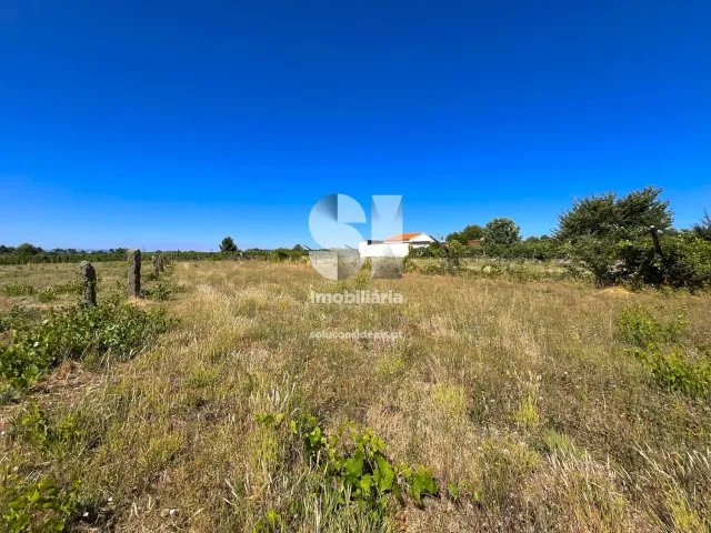 Terreno Urbano T0 - S�o Martinho de Antas e Paradela de Gui�es, Sabrosa, Vila Real - Miniatura: 6/21