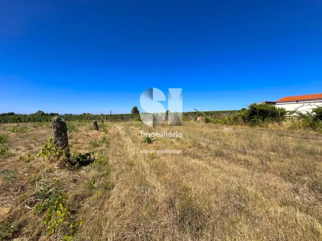 Terreno Urbano T0 - S�o Martinho de Antas e Paradela de Gui�es, Sabrosa, Vila Real - Miniatura: 7/21