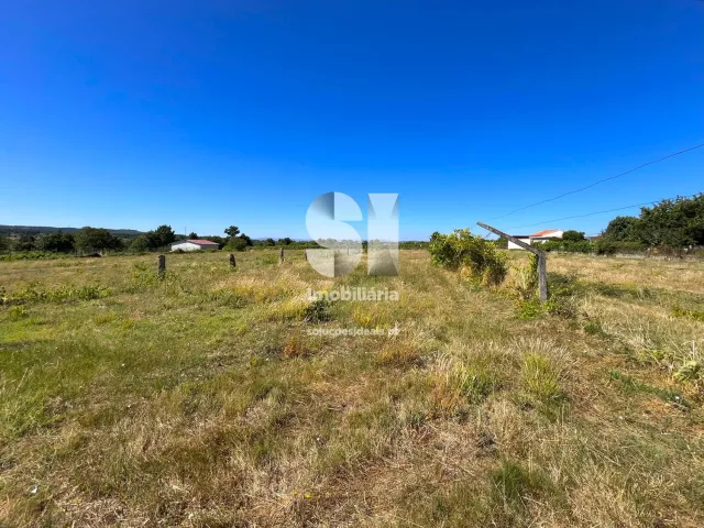 Terreno Urbano T0 - S�o Martinho de Antas e Paradela de Gui�es, Sabrosa, Vila Real - Miniatura: 12/21