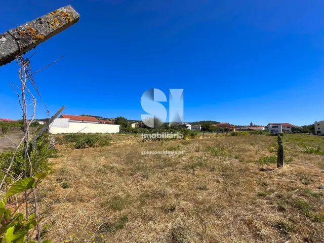 Terreno Urbano T0 - S�o Martinho de Antas e Paradela de Gui�es, Sabrosa, Vila Real - Miniatura: 13/21