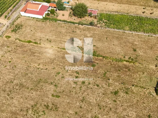 Terreno Urbano T0 - S�o Martinho de Antas e Paradela de Gui�es, Sabrosa, Vila Real - Miniatura: 14/21