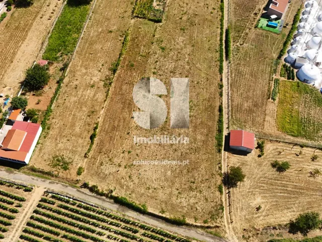 Terreno Urbano T0 - S�o Martinho de Antas e Paradela de Gui�es, Sabrosa, Vila Real - Miniatura: 17/21