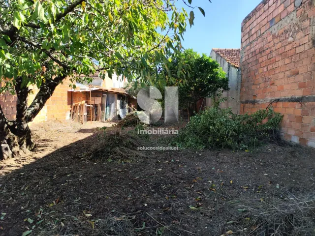 Moradia T3 - Vila Nova de Monsarros, Anadia, Aveiro - Miniatura: 15/18