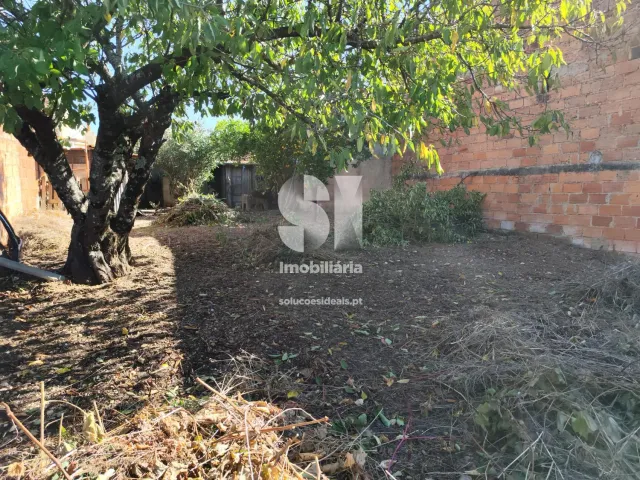 Moradia T3 - Vila Nova de Monsarros, Anadia, Aveiro - Miniatura: 16/18