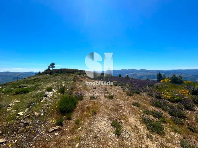 Terreno Urbano T0 - Provesende, Sabrosa, Vila Real - Miniatura: 1/26