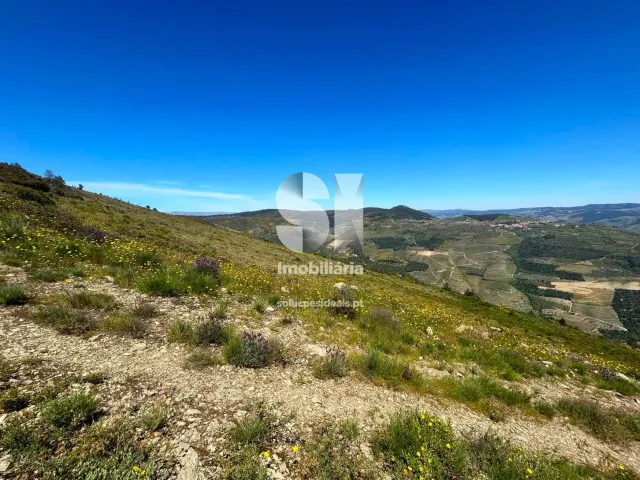 Terreno Urbano T0 - Provesende, Sabrosa, Vila Real - Miniatura: 2/26