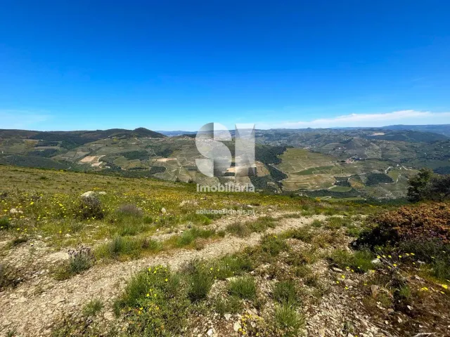 Terreno Urbano T0 - Provesende, Sabrosa, Vila Real - Miniatura: 3/26