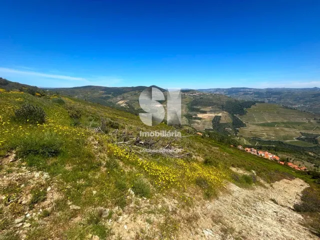 Terreno Urbano T0 - Provesende, Sabrosa, Vila Real - Miniatura: 7/26