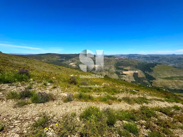 Terreno Urbano T0 - Provesende, Sabrosa, Vila Real - Miniatura: 8/26