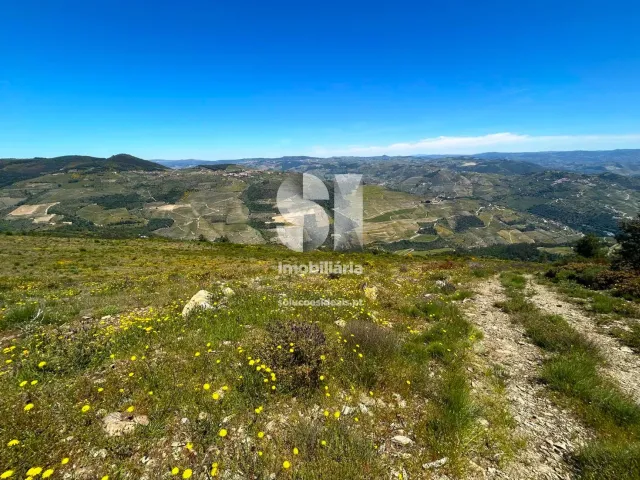 Terreno Urbano T0 - Provesende, Sabrosa, Vila Real - Miniatura: 9/26