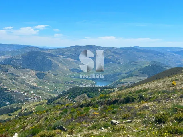 Terreno Urbano T0 - Provesende, Sabrosa, Vila Real - Miniatura: 10/26