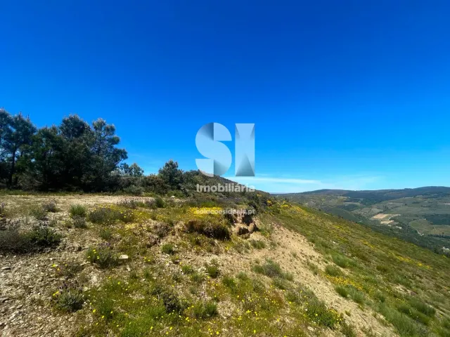 Terreno Urbano T0 - Provesende, Sabrosa, Vila Real - Miniatura: 12/26