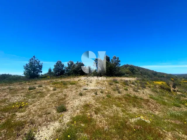 Terreno Urbano T0 - Provesende, Sabrosa, Vila Real - Miniatura: 14/26