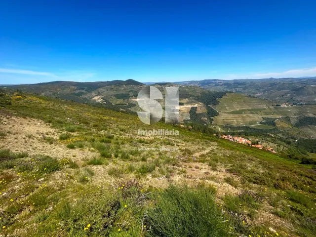 Terreno Urbano T0 - Provesende, Sabrosa, Vila Real - Miniatura: 16/26